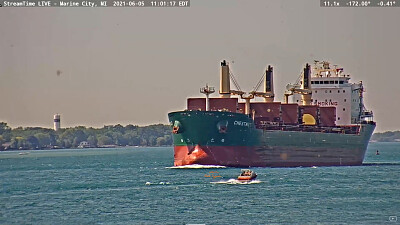  "saltie " Chestnut northbound to Lake Huron