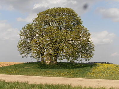 idyllisch