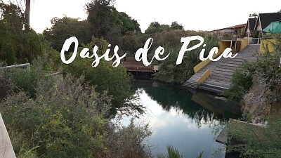 פאזל של oasis pica