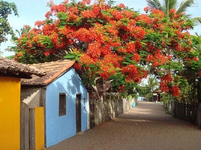 vila das flores jigsaw puzzle