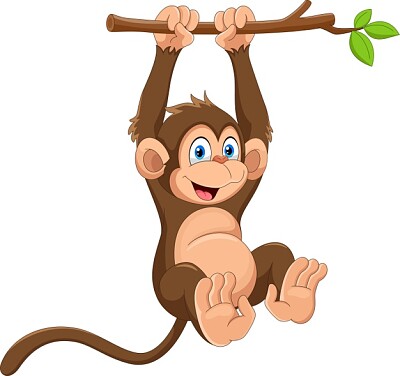 macaco jigsaw puzzle
