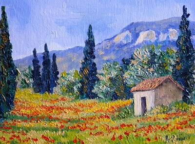 Cabane et coquelicots du sud de France