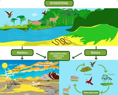 BIOTICO jigsaw puzzle