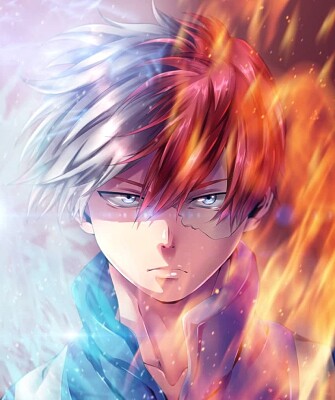 פאזל של todoroki