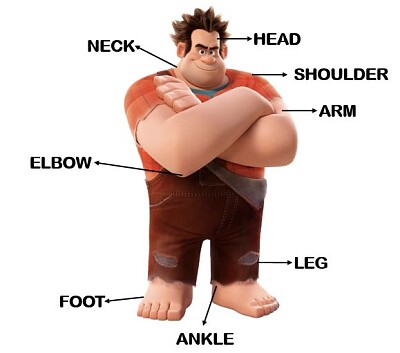 BODY PARTS jigsaw puzzle