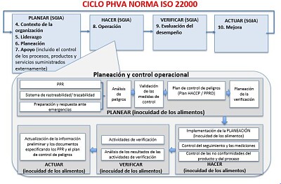 Ciclo PHVA norma ISO 22000