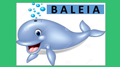 BALEIA