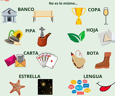 PALABRAS HOMÓGRAFAS jigsaw puzzle