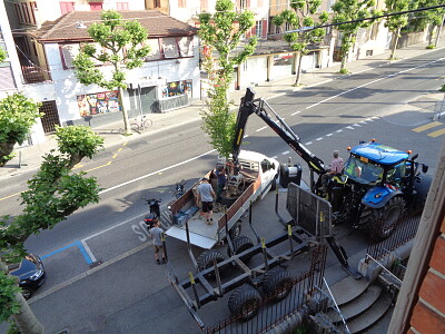 Arrivée nouvel arbre Neuchâtel jigsaw puzzle