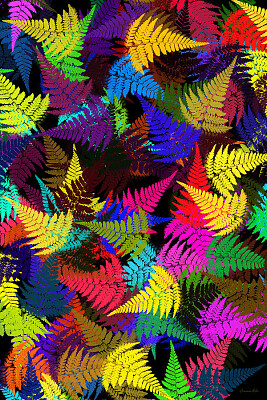 colorful fern leaves