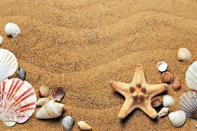 a jigsaw puzzle