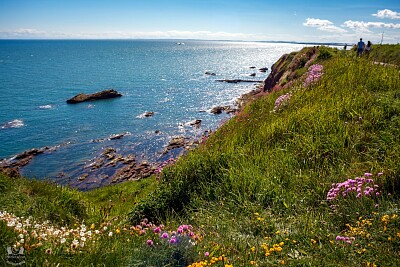 Seaton Cliffs seascape jigsaw puzzle