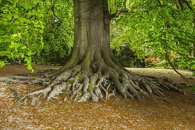 a jigsaw puzzle