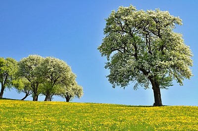 a jigsaw puzzle