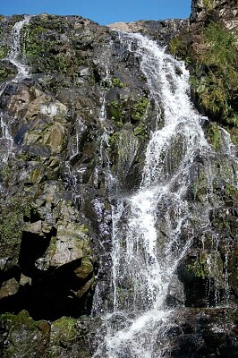 Arroyo Laureles