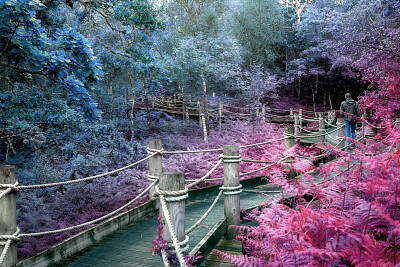 Pastel walkway jigsaw puzzle