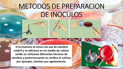 BIOTECNOLOGIA