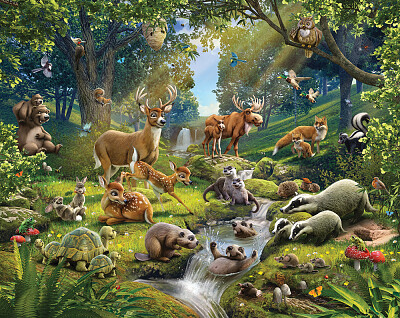 Animalele salbatice jigsaw puzzle