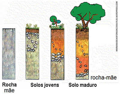 Formação do solo