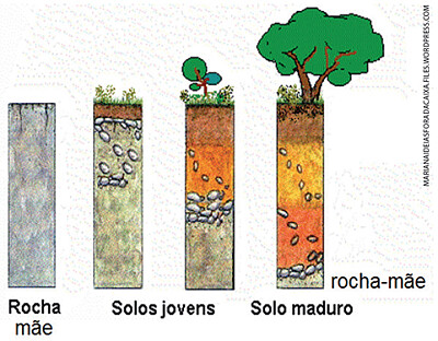 Formação do solo jigsaw puzzle