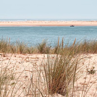 Cap Ferret