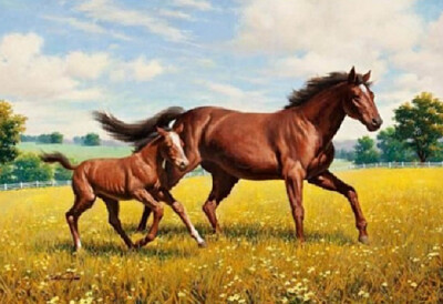 a jigsaw puzzle