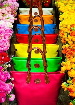 Rainbow Purses