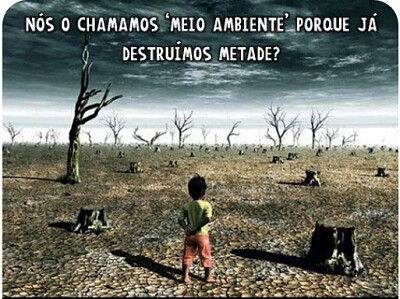 Impactos ambientais e sustentabilidade