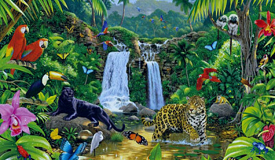 Animales de la selva peruana jigsaw puzzle