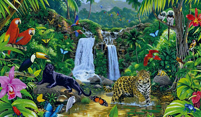 פאזל של Animales de la selva peruana