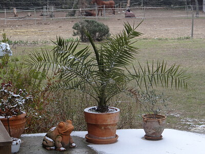 פאזל של terrasse