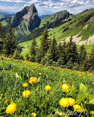 פאזל של La Chapelle d 'Abondance Pays d 'Evian