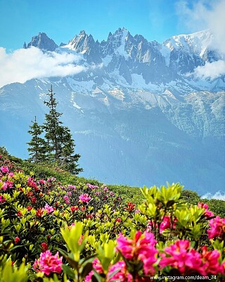 Chamonix-Mont-Blanc jigsaw puzzle