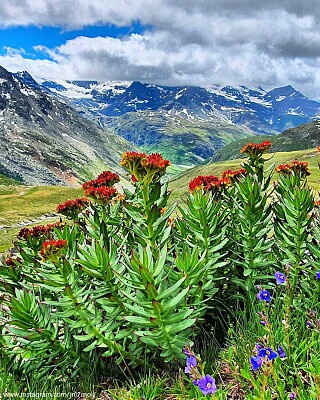 Haute Maurienne Vanoise jigsaw puzzle