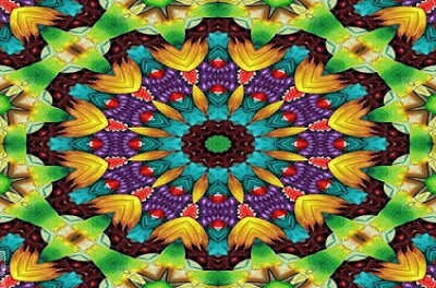 X9