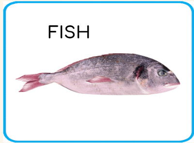 פאזל של fish