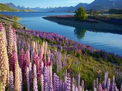 Paisajes naturales jigsaw puzzle