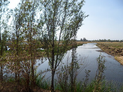 Paisajes humedales CDMX