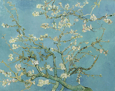 Almond Blossom - Vincent Van Gogh jigsaw puzzle