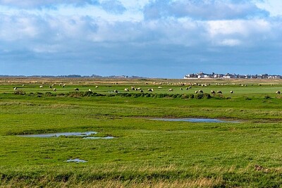 Baie de Somme jigsaw puzzle