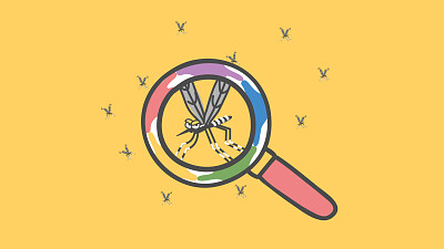 Mosquito Dengue - Mundo Sano