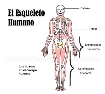 Arma el rompecabezas