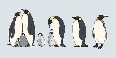Familia de Pingüinos jigsaw puzzle