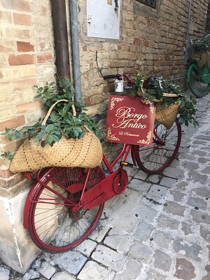 bicicletta rossa floreale