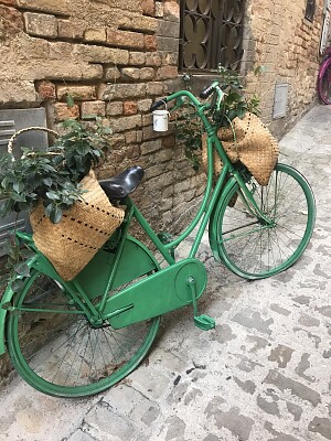 bicicletta floreale verde