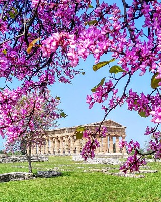 Paestum