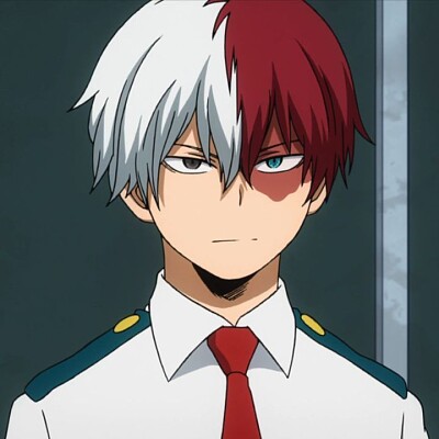 Todoroki jigsaw puzzle