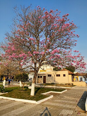 Praça Prefeito Luiz Chaves Martins