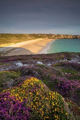 פאזל של La plage de Pen Hat, Camaret