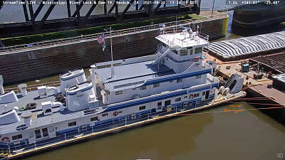 Find the Pelican ! Mississippi River Lock-19